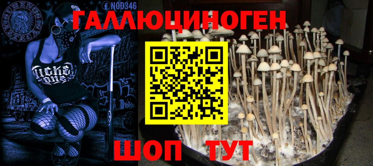 Первоуральск  Галлюциногенные грибы мухоморы  Вход с VPN 